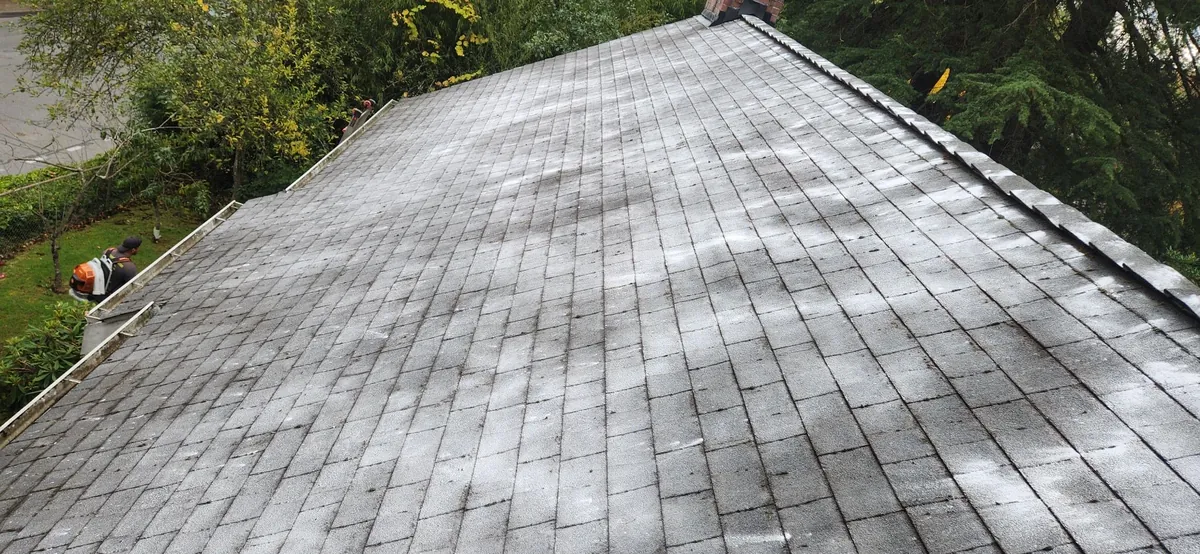 The same shingle roof cleared of moss with a worker and leaf blower at the eave