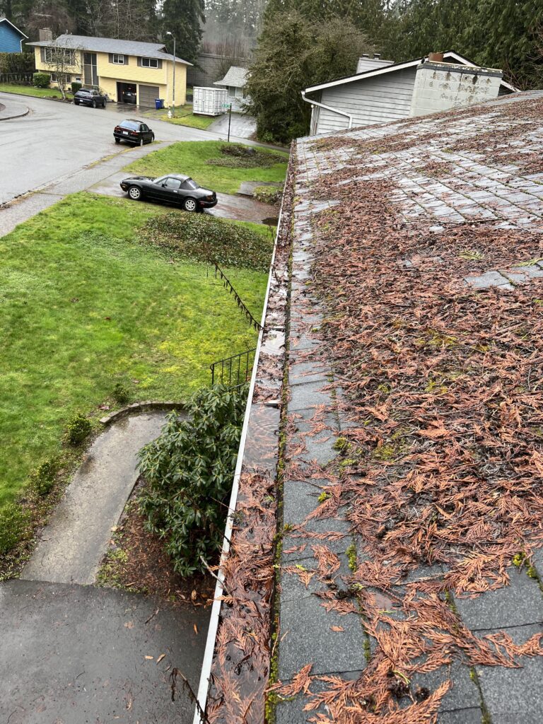 Roof cleaning everett