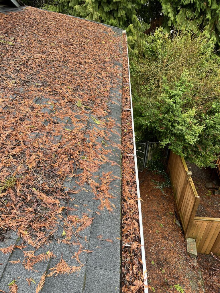 Roof cleaning everett