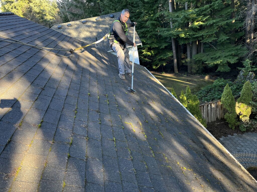roof brushing and maintenance
