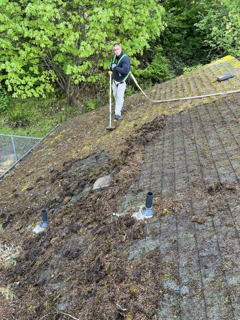 roof cleaning in everett
