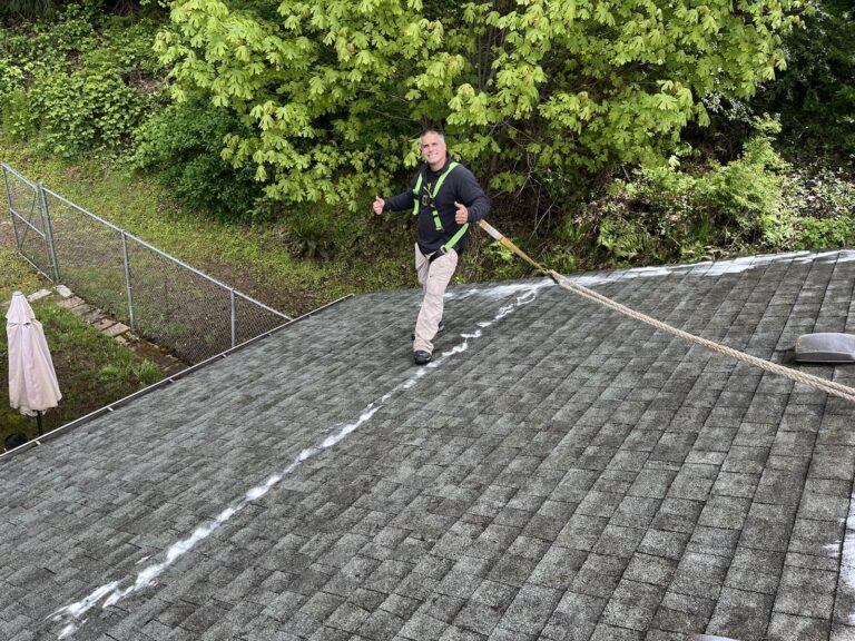 roof cleaning in everett