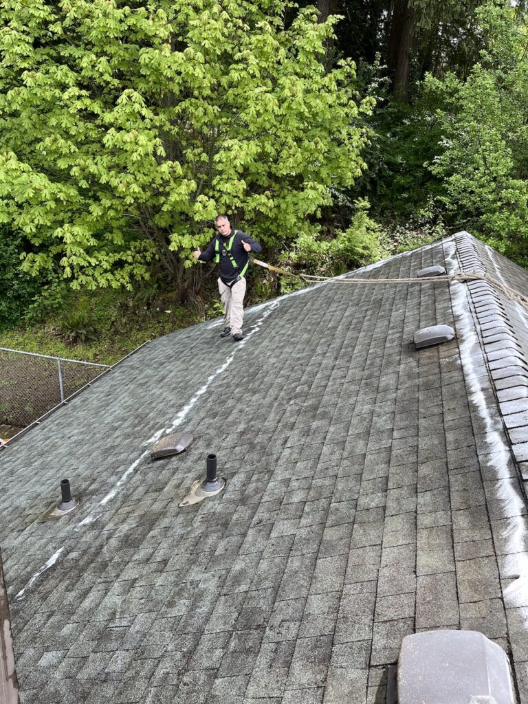 Bellevue Roof Cleaning Experts