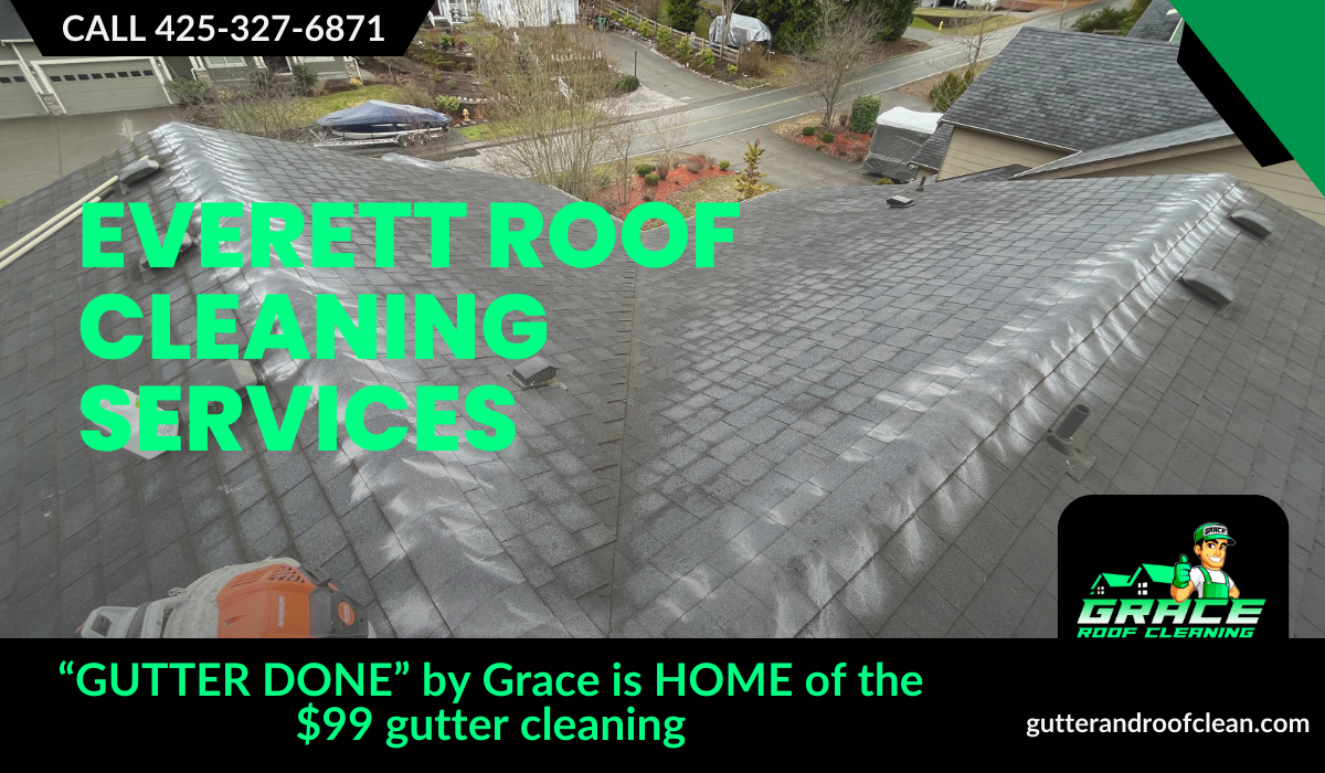 Everett Roof Cleaning Services