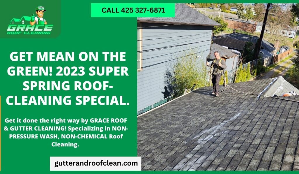 Get Mean on the Green! 2023 Super Spring Roof-Cleaning Special.