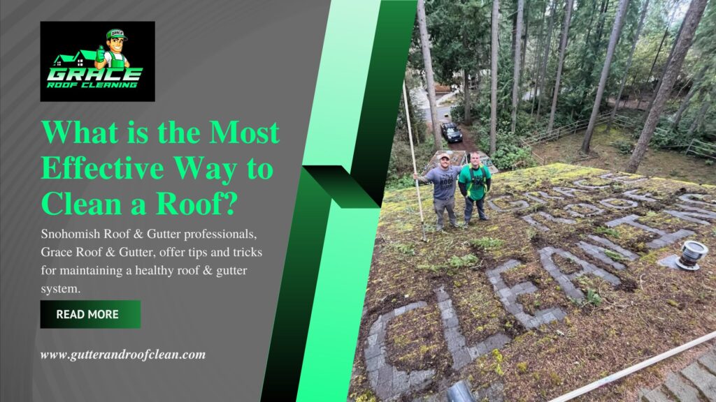 What is the Most Effective Way to Clean a Roof?