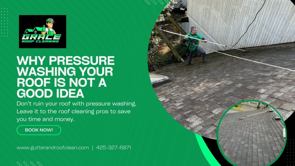 Why Pressure Washing Your Roof is Not a Good Idea