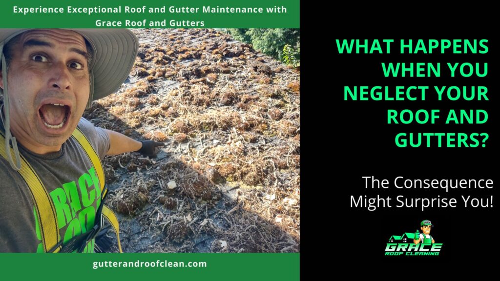 What Happens When You Neglect Your Roof and Gutters? The Consequences May Surprise You