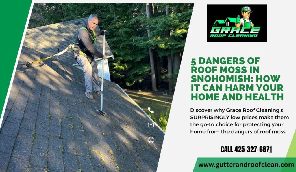 5 Dangers of Roof Moss in Snohomish: How It Can Harm Your Home and Health