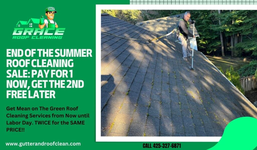 End of the Summer Roof Cleaning Sale: Pay for 1 Now, Get the 2nd Free Later