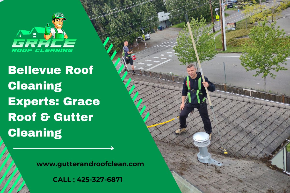 Bellevue Roof Cleaning Experts: Grace Roof & Gutter Cleaning