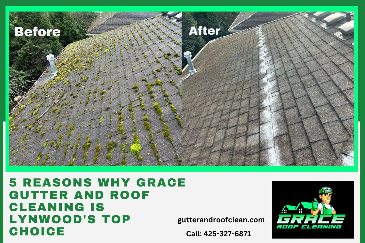 Gutter and Roof Cleaning in Lynwood