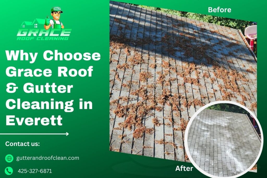Why Choose Grace Roof & Gutter Cleaning in Everett