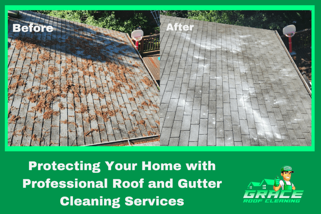Protecting Your Home with Professional Roof and Gutter Cleaning Services