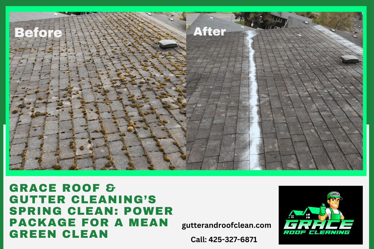Grace Roof & Gutter Cleaning’s Spring Clean: Power Package for a Mean ... - Green Modern Apartment Gutter Cleaning