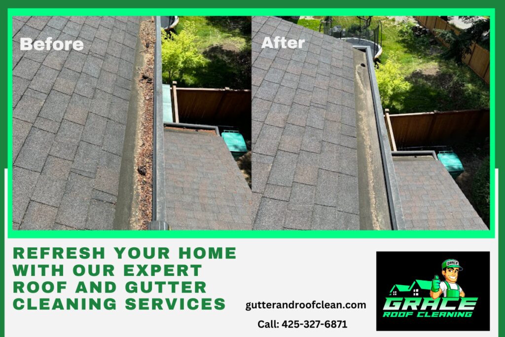 roof and gutter services