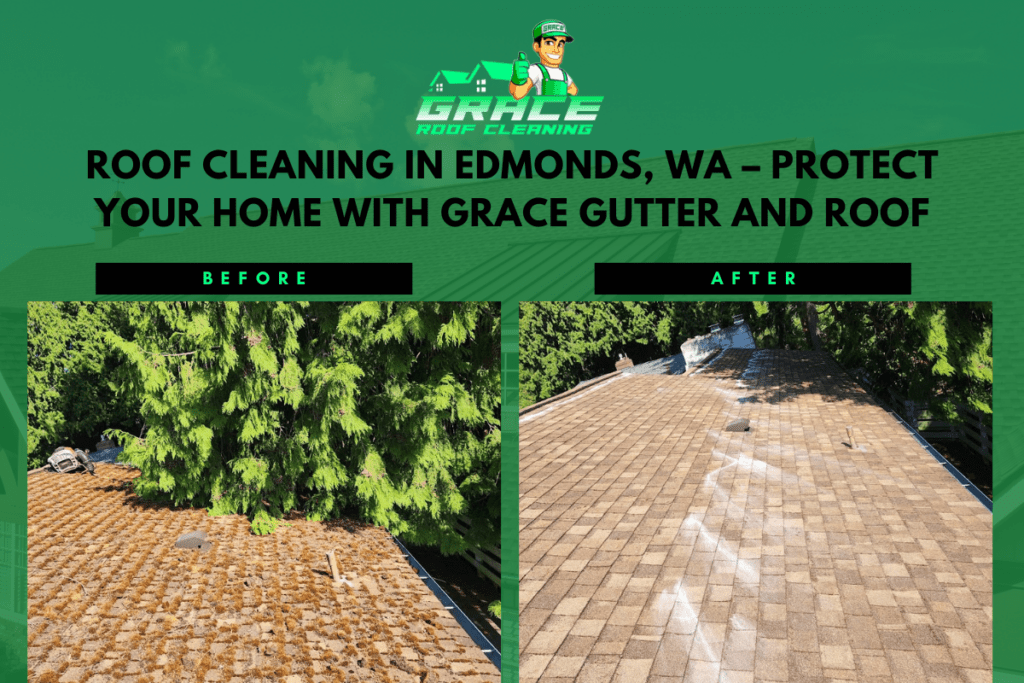 Professional Roof Cleaning in Edmonds, WA