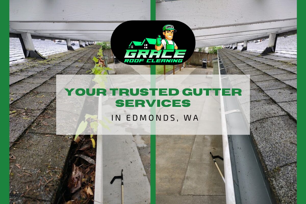 Your trusted gutter services in Edmonds WA