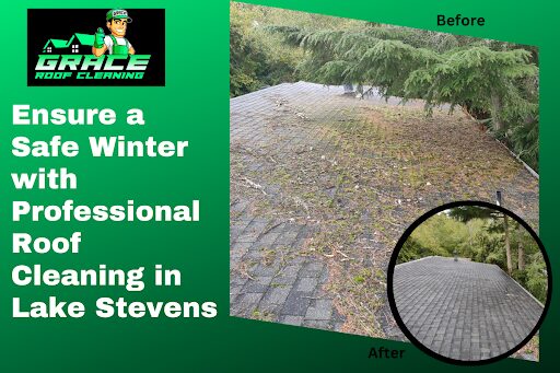 Ensure a Safe Winter with Professional Roof Cleaning in Lake Stevens