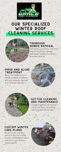 Our Specialized Winter Roof Cleaning