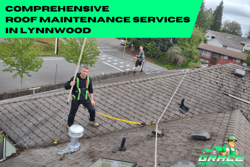 Roof Maintenance Lynnwood