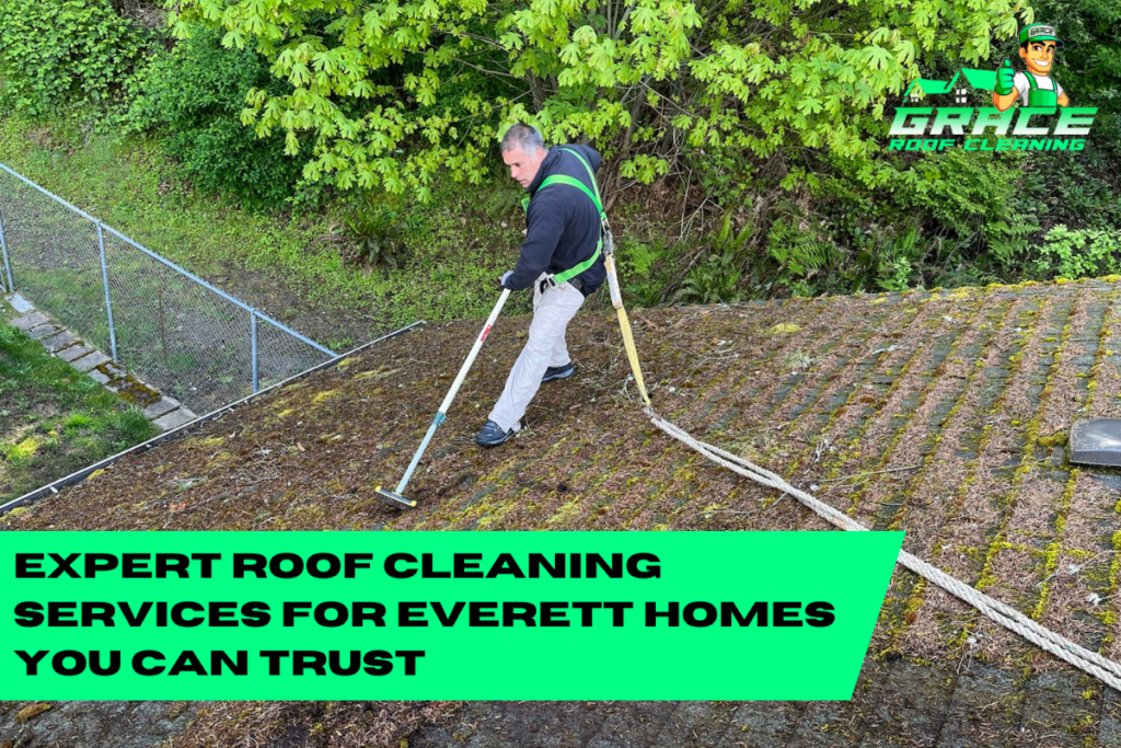 Expert Roof Cleaning Services for Everett Homes You Can Trust