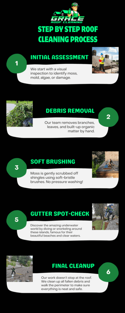 Our Roof Cleaning Process – Step by Step