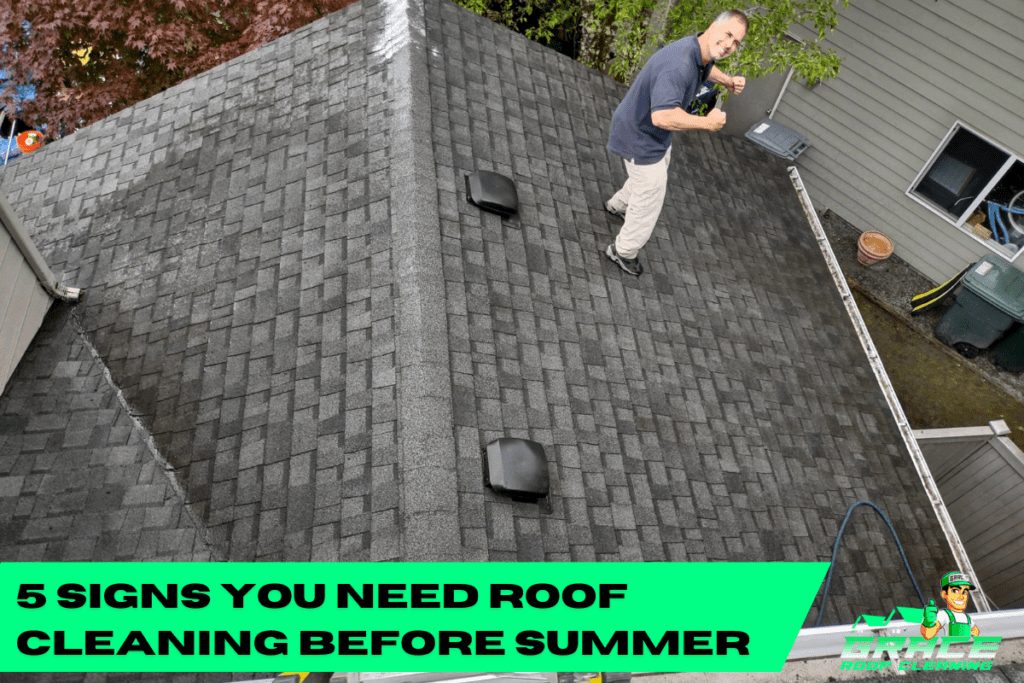 5 Signs You Need Roof Cleaning Before Summer