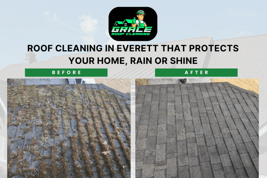 Roof Cleaning in Everett That Protects Your Home, Rain or Shine