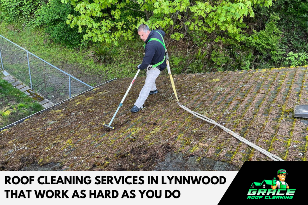 Roof Cleaning Services Matter in Lynnwood