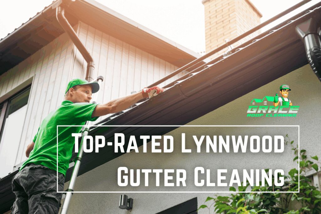 Top-Rated Lynnwood Gutter Cleaning