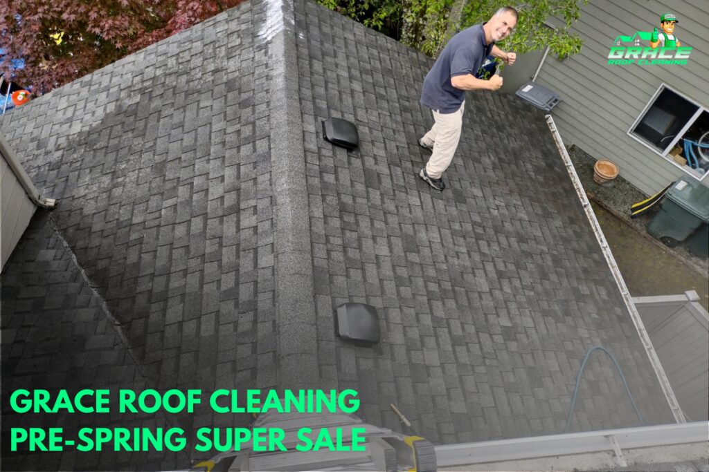 Grace Roof Cleaning Pre-Spring Super Sale