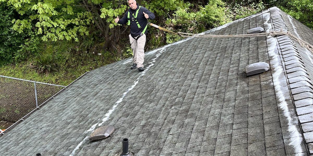 Bellevue Roof Cleaning Experts